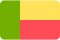 Benin Flag New