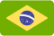 Brazil Flag New