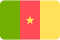 Cameroon Flag New