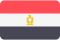 Egypt Flag New