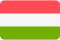 Hungary Flag New