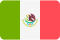 Mexico Flag New