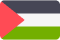 Palestine Flag New