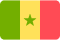 Senegal Flag New