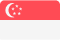 Singapore Flag New