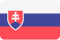 Slovakia Flag New