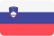 Slovenia Flag New