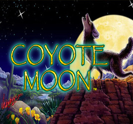 Coyote Moon