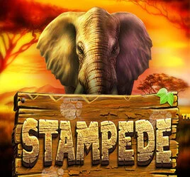 Stampede