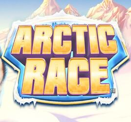 Arctic Race