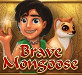 Brave Mongoose