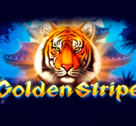 Golden Stripe