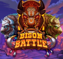 Bison Battle