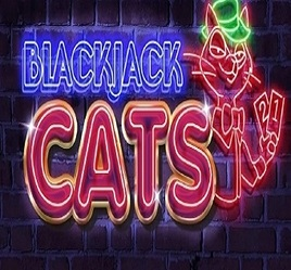 Blackjack Cats