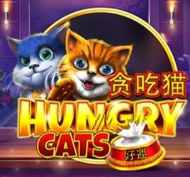 Hungry Cats