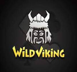 Wild Viking