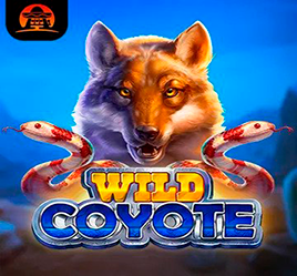 Wild Coyote