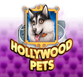 Hollywood Pets