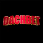 Dachbet Casino